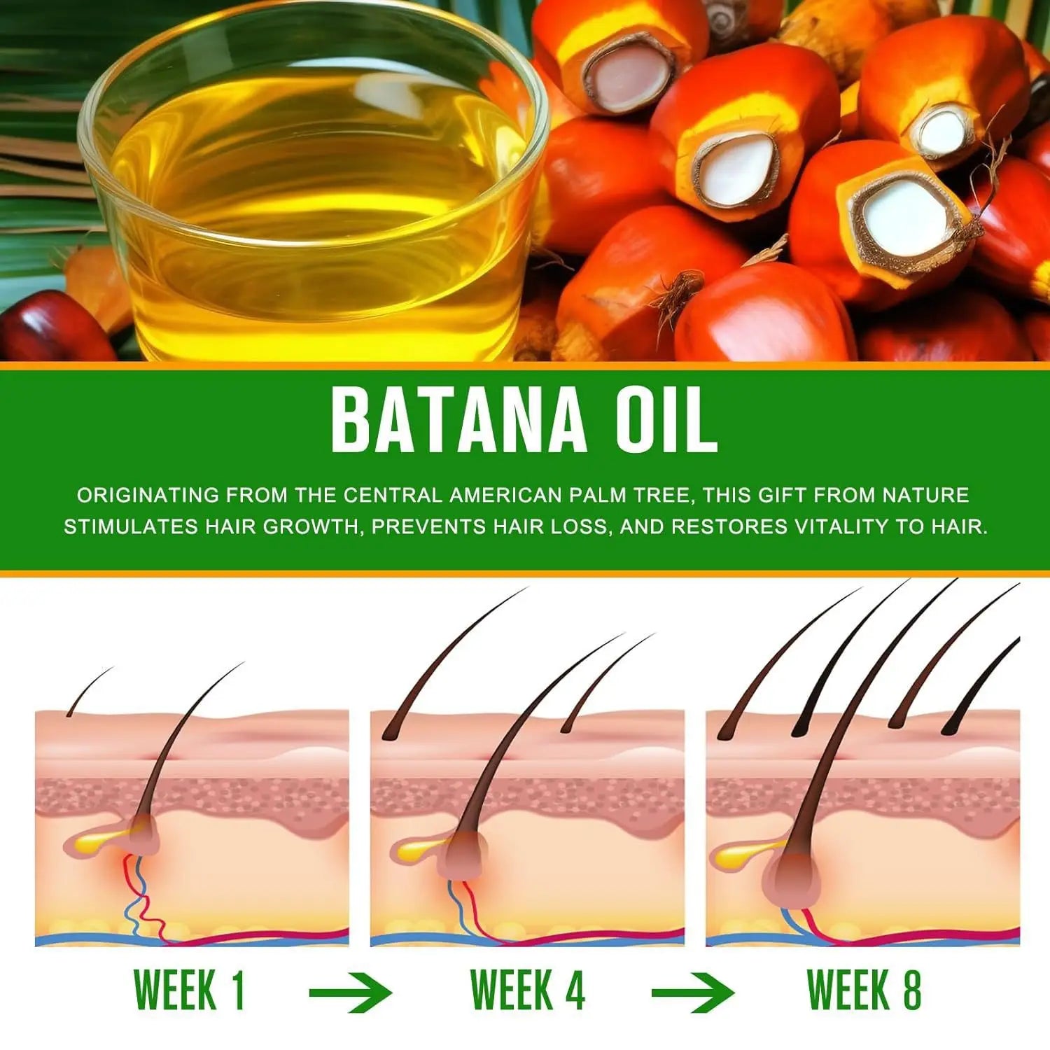Golden batana oil in a clear glass bowl next to fresh palm fruits for batana oil hair mask 120g natural Honduras formula