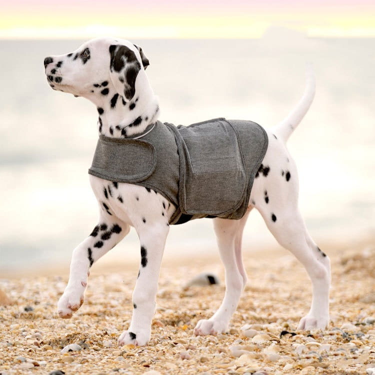 Dog Anxiety Jacket Warm Heather Gray Vest Pet Clothes