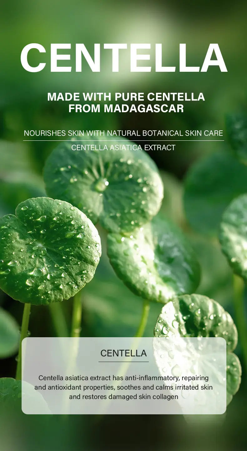 Centella-asiatica-5-teiliges Gesichtspflege-Set von irev mit grüner Darstellung von Blättern und weißem Text vor einem weichgezeichneten Hintergrund.