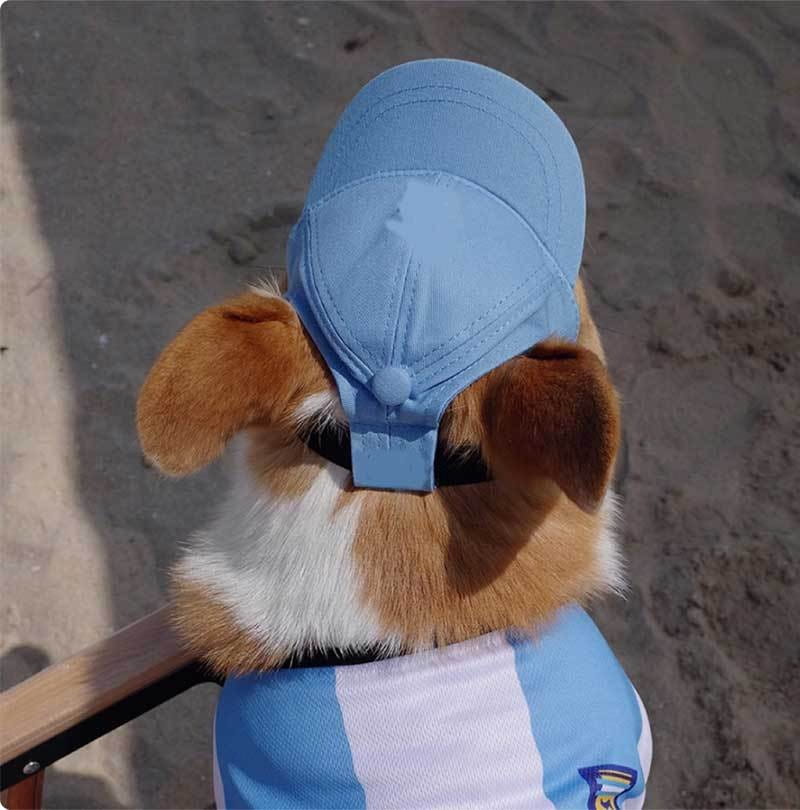 Light blue adjustable sun proof pet hat with ear holes shown from the back featuring a buttoned strap.