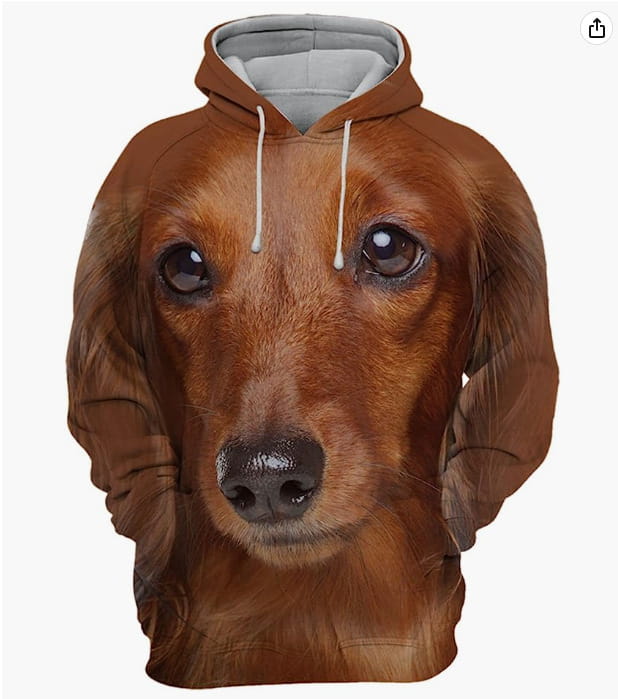 Homme sweat à capuche en pull-over imprimé 3D représentant un portrait de chien, avec un visage de teckel brun imprimé partout, des cordons de serrage blancs et une doublure grise.