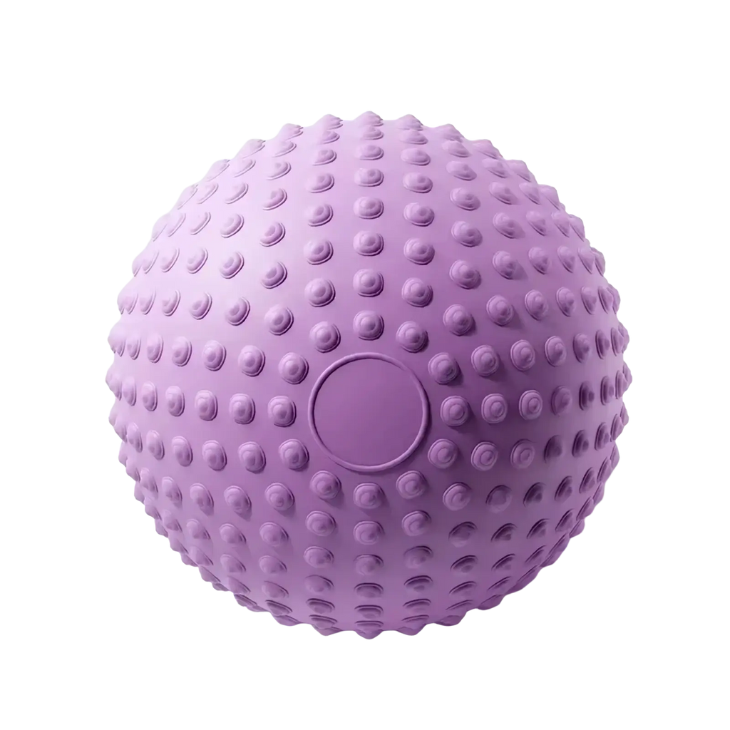 Lavender 25cm dotted pilates exercise ball with textured raised bumps and smooth center for pelvic floor training