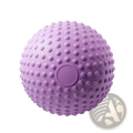 Lavender 25cm dotted pilates exercise ball with textured raised bumps and smooth center for pelvic floor training