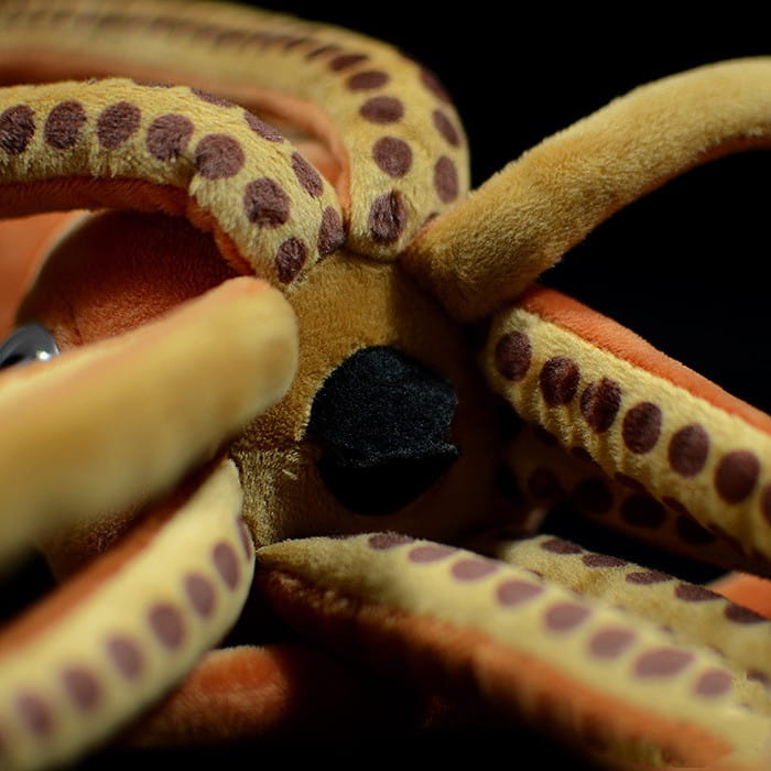 A cuttlefish plush stuffed animal toy 32cm made of soft yellowish-orange fabric with brown polka dots on the tentacles and a black textured eye.