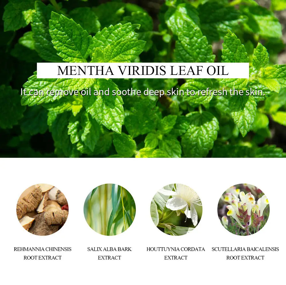 fresh green mint leaves with vibrant serrated edges featured alongside tea tree acne treatment face and neck cream 20g.