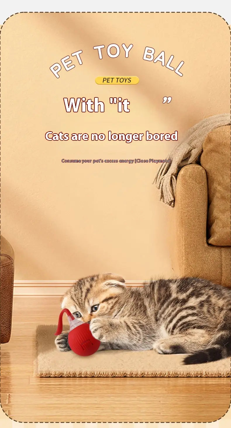 Interactive Cat Toy Ball Automatic Moving Roller Toy