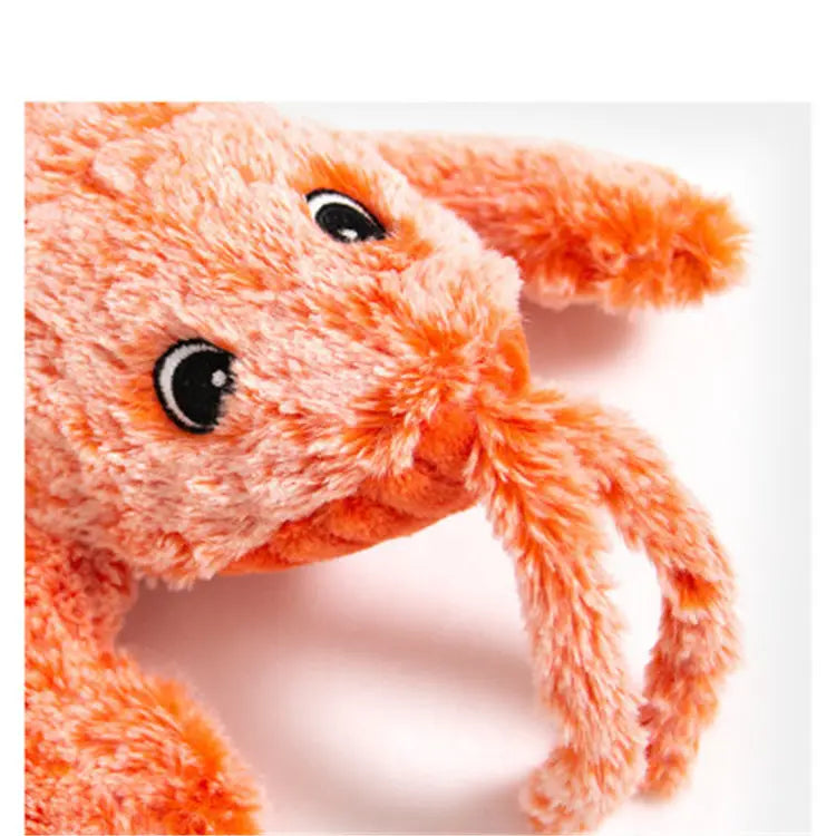 Ein weiches orangfarbenes Krabben-Spielzeug aus Plüsch mit schwarzen Knopfaugen, entworfen als elektrisches hüpfendes Hummer-USB-Lade-Katzen-Spielzeug.