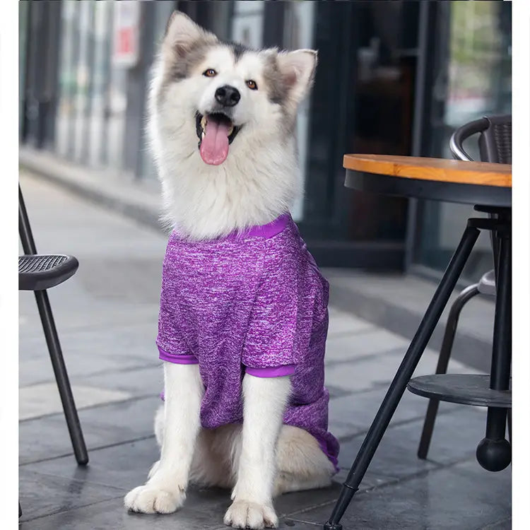 Pull chaud mauve chiné en acrylique Big Dog avec poignets et encolure côtelés, conçu pour une tenue d’hiver confortable pour animaux de compagnie.