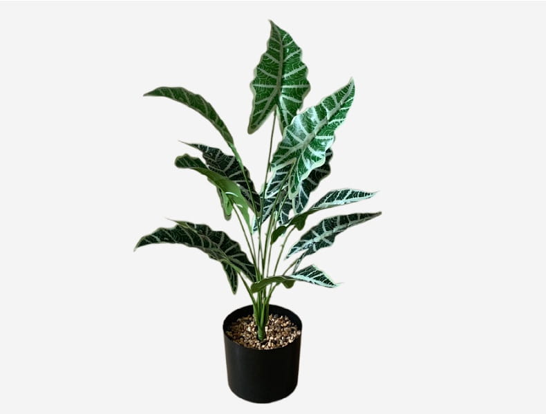 A lush artificial alocasia plant with deep green leaves and striking white veining potted in a sleek black container for garden decor.