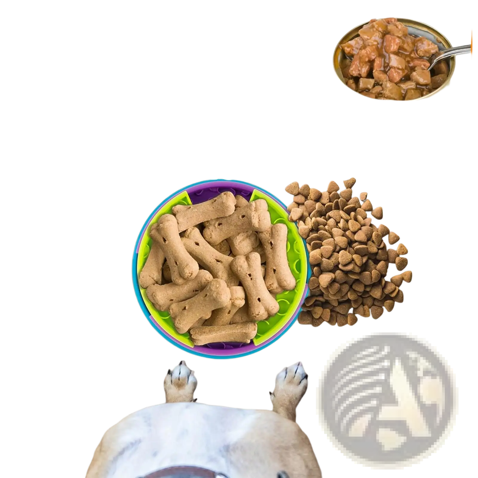 Colorful multi-compartment 3-in-1 dog feeder puzzle slow feeder bowl filled with bone-shaped kibble