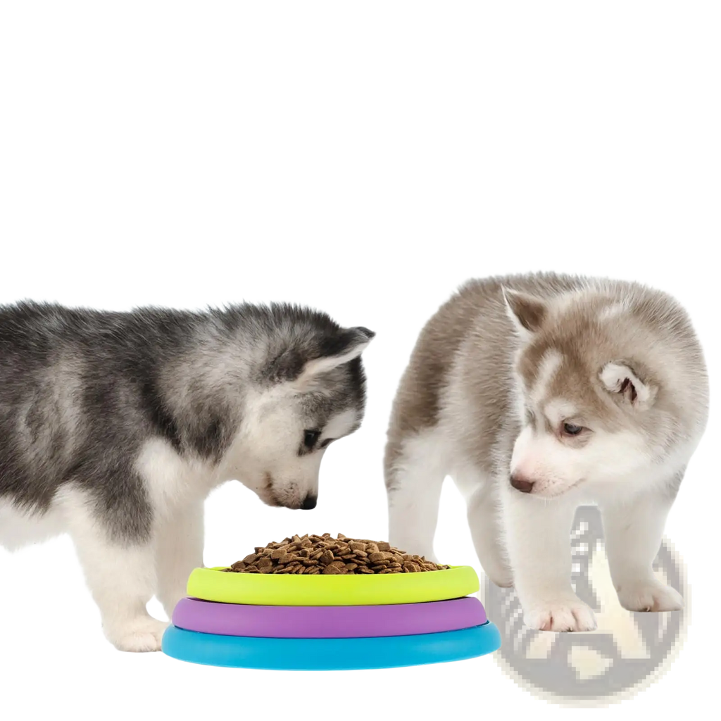A colorful tiered silicone 3-in-1 dog feeder puzzle and lick mat slow feeder bowl with lime green, purple, and blue layers