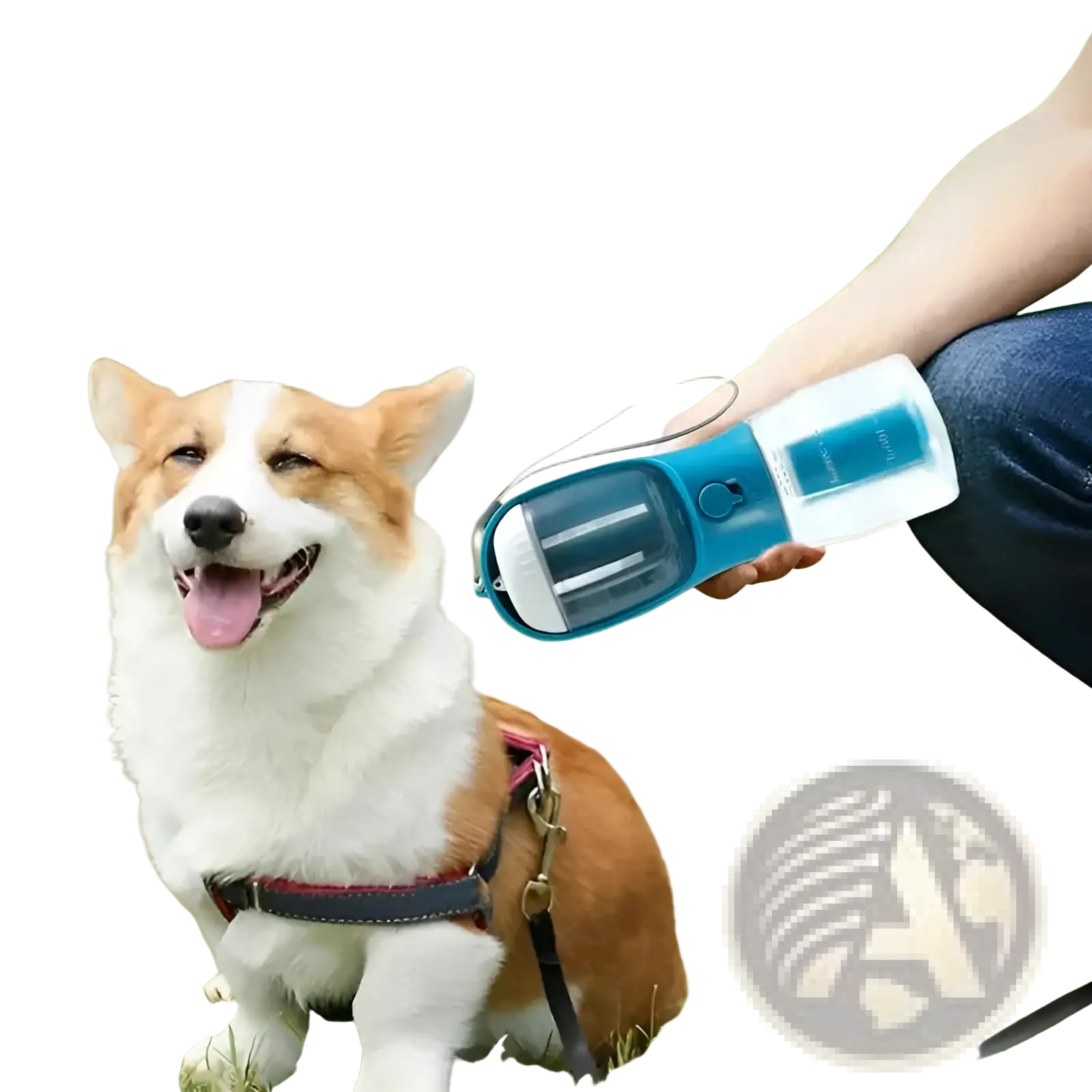Blue and white 3-in-1 portable dog water bottle and food dispenser with transparent reservoir and carrying handle