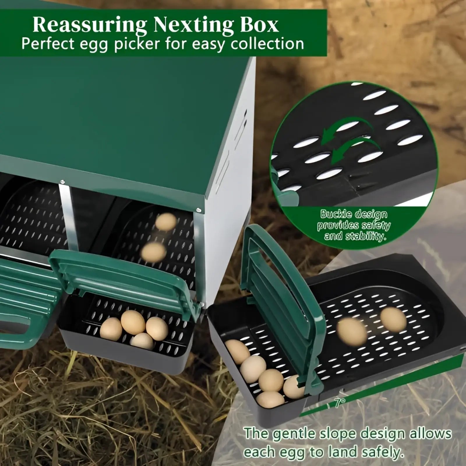 Green and white 3 compartment chicken nesting box with buckle design for safe egg collection and roll out trays