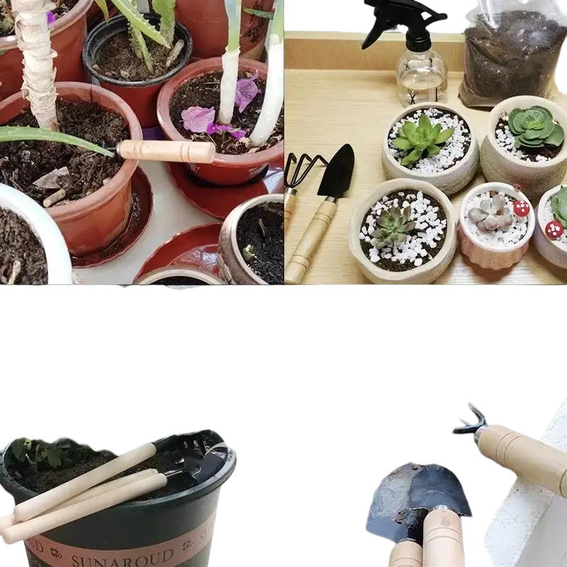 Collage of multiple small ceramic pots with succulents featuring a 3-piece mini wooden handle gardening tool set