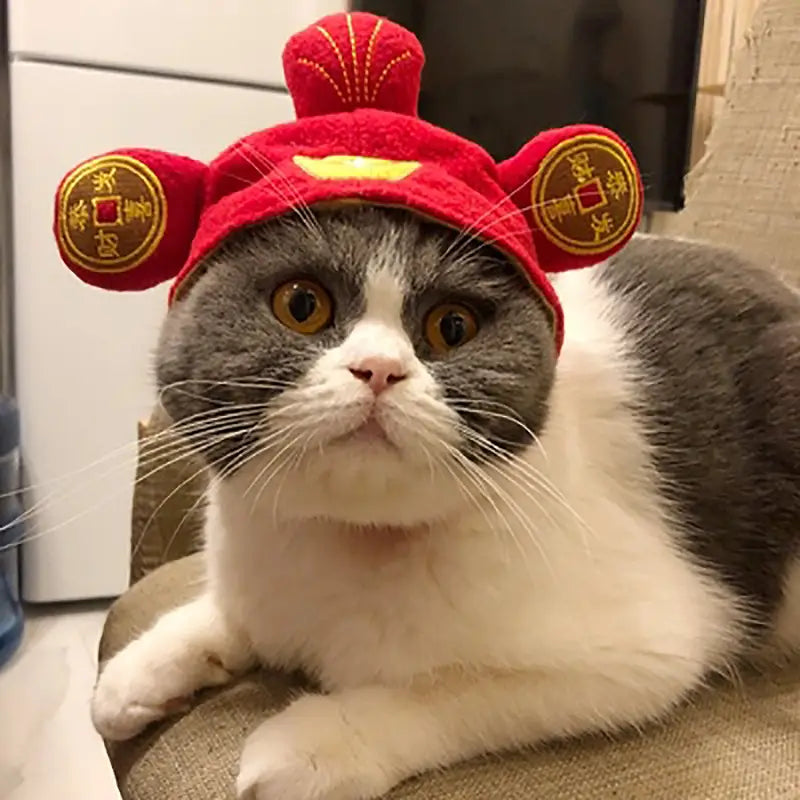 Red plush pumpkin cat hat with gold embroidered coins and a yellow emblem designed as warm pet costume headwear.