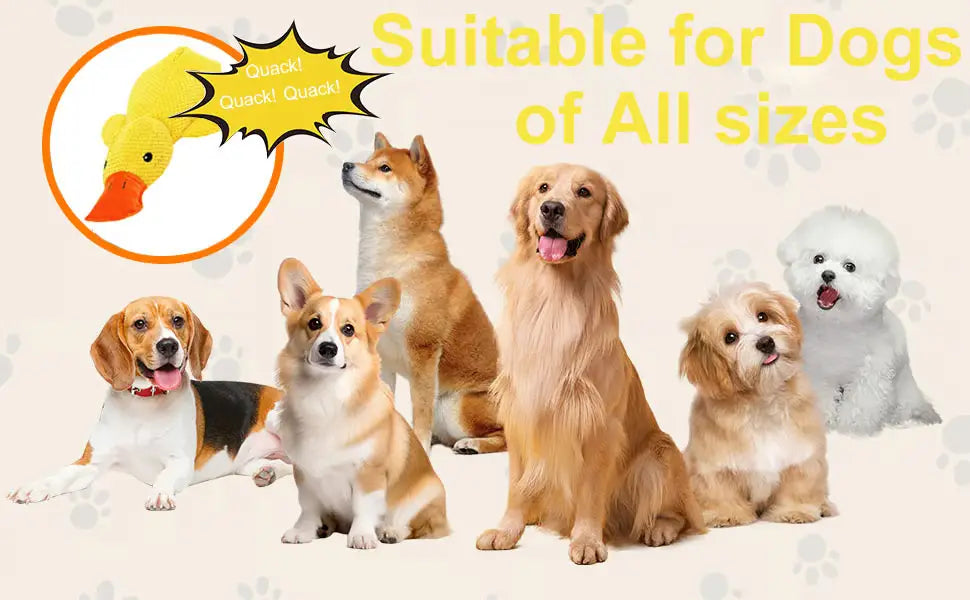 Yellow plush duck toy with orange beak and feet designed as a calming quacking plush for dogs anxiety relief.