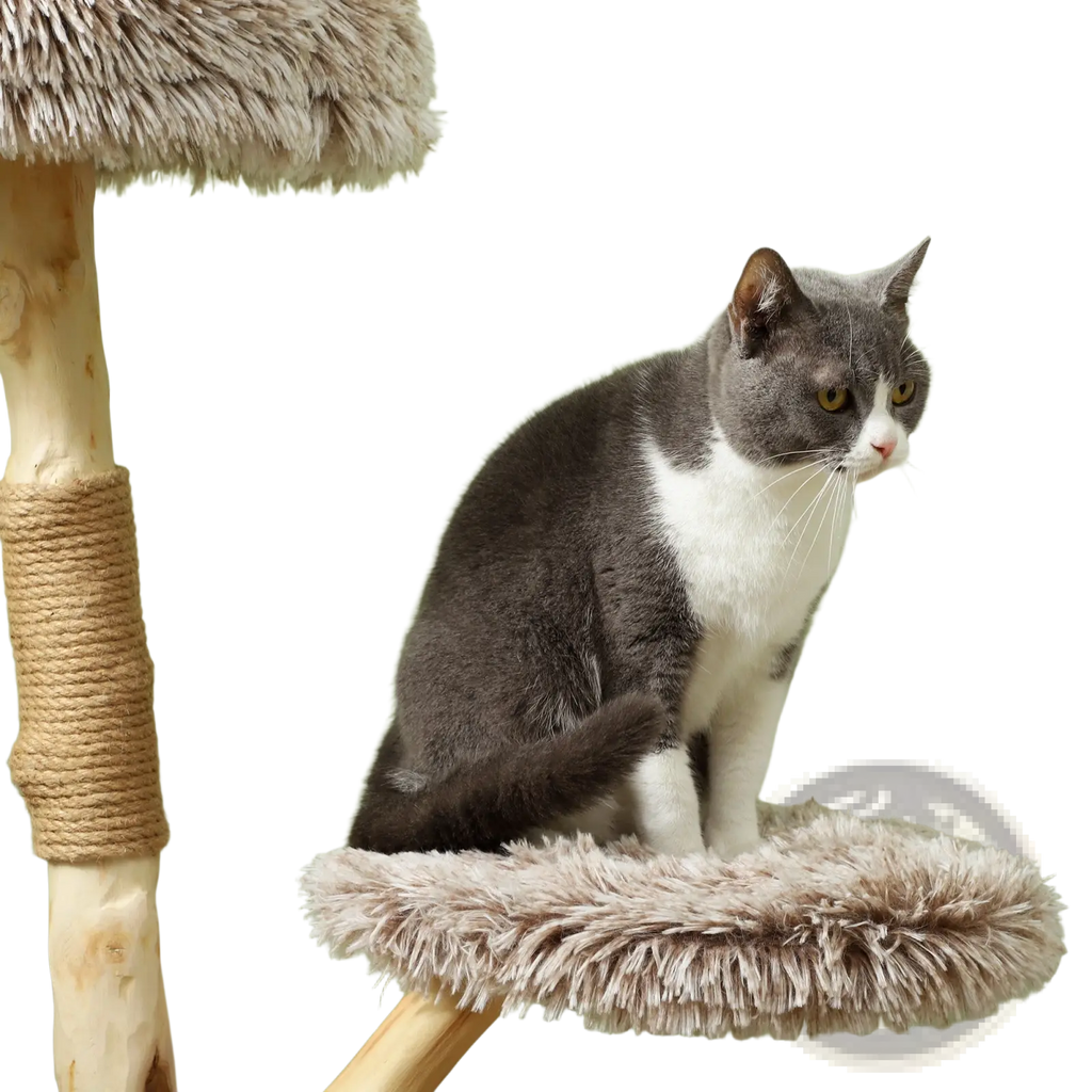 Gray and white cat sitting on a fluffy beige platform of a 35 inch modern wooden cat tree tower with sisal rope post