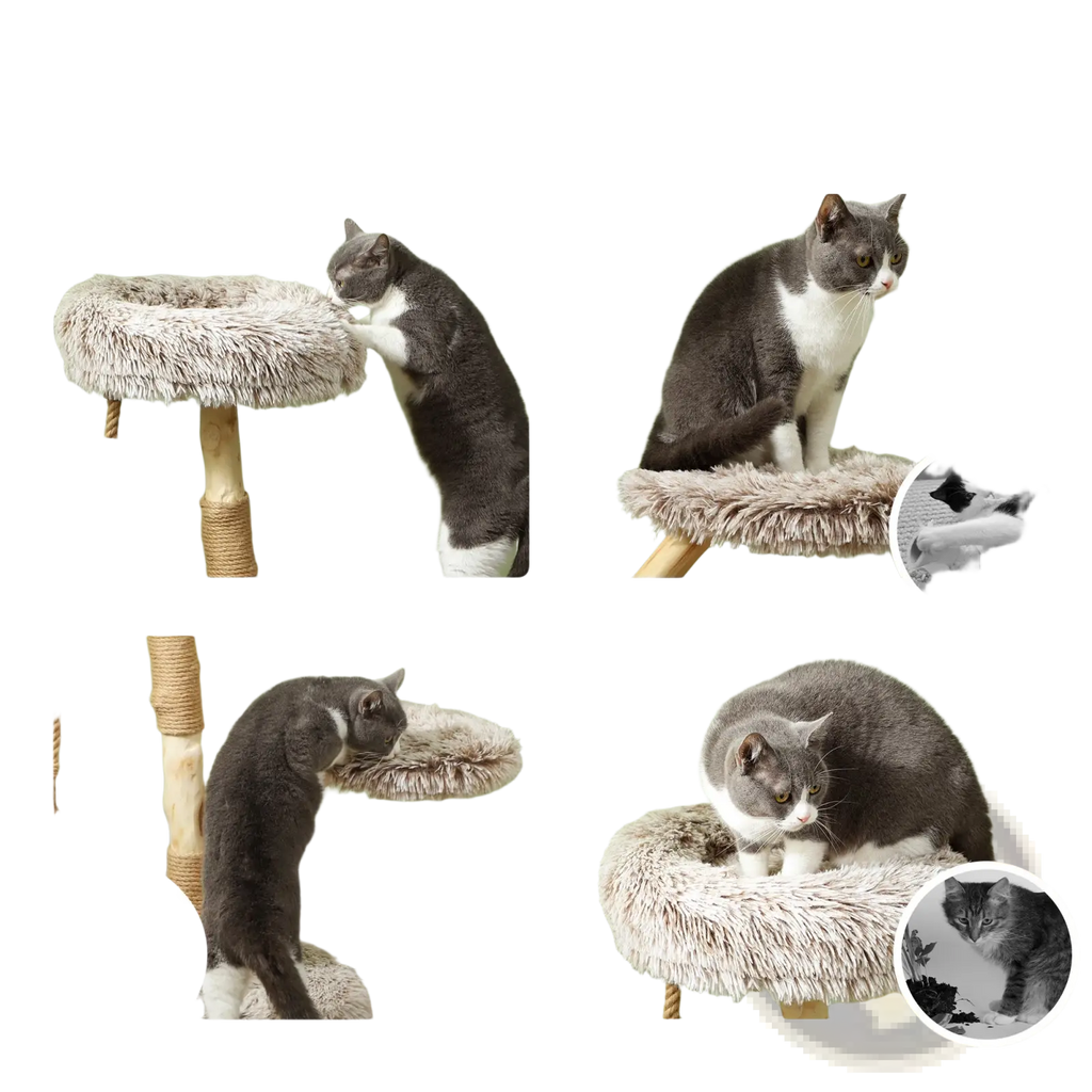 35 inch modern wooden cat tree tower with faux fur soft top platform and sturdy rope wrapped wooden legs