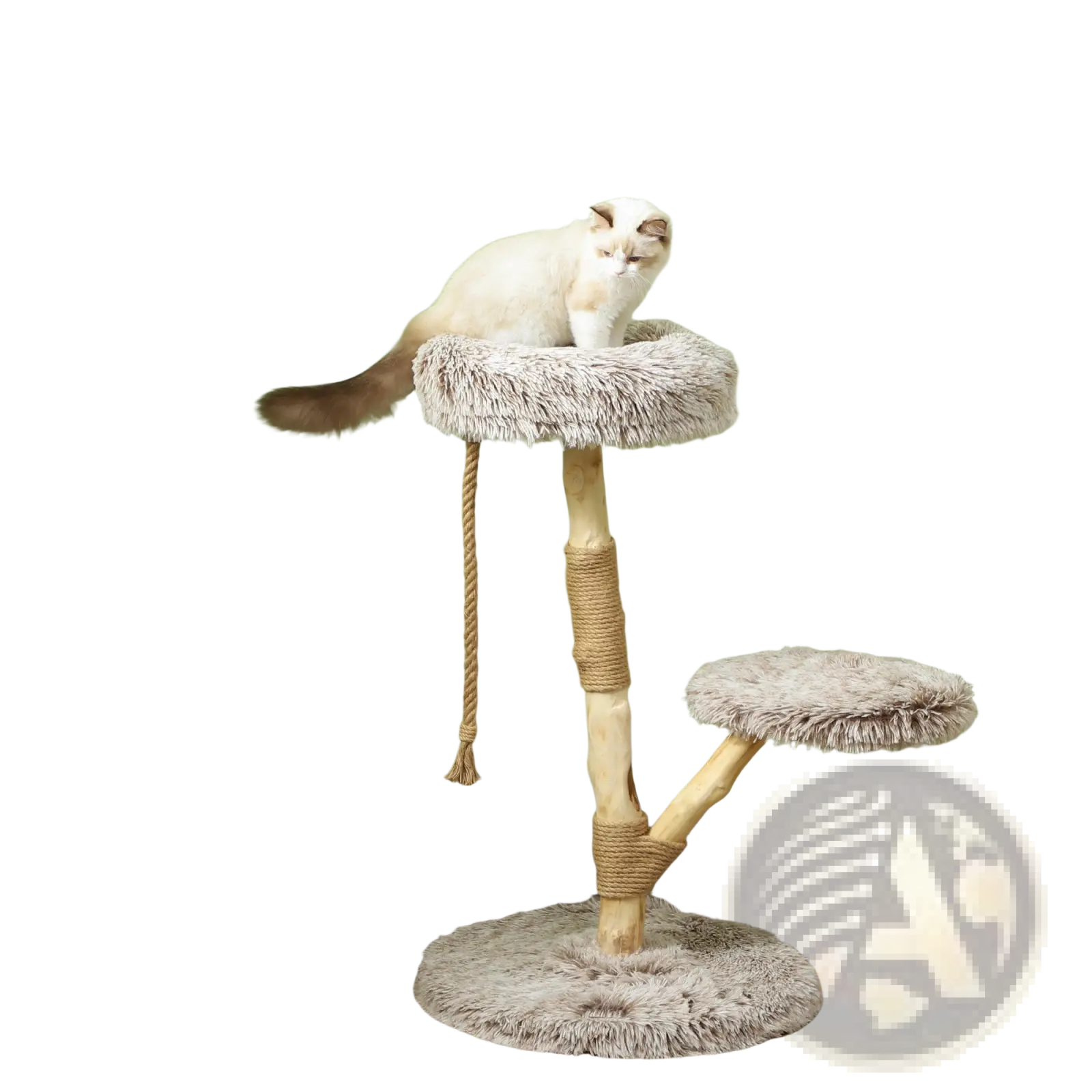 35 inch modern wooden cat tree tower with beige plush fur, natural wood base, and rope-wrapped posts