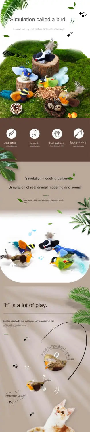 Interactive Bird Cat Teaser Toy with Feathers and Catnip