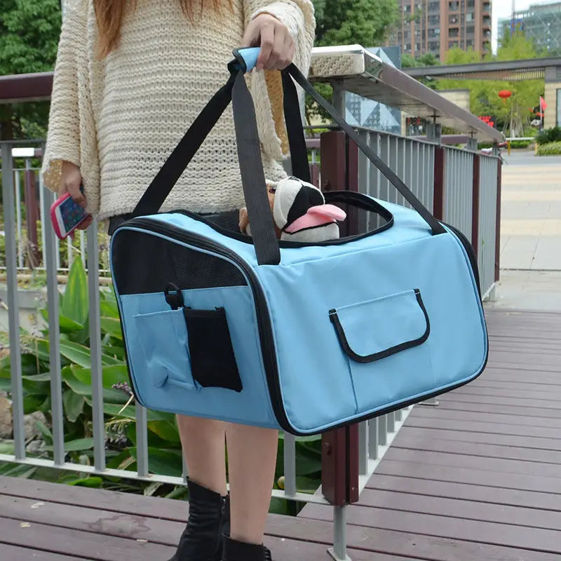 Light blue pet carrier backpack for small dogs and cats with black trim and handles featuring a front pocket and side mesh panel.