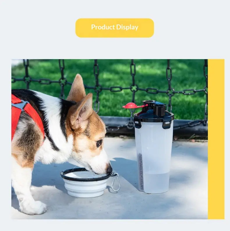 Weiße, klappbare Silikon-Futter- und Trinkschale für Haustiere mit schwarzem Rand und silbernem Karabinerclip zur Verwendung als tragbarer Hundetrinknapf und faltbarer Futter- und Trinknapf.