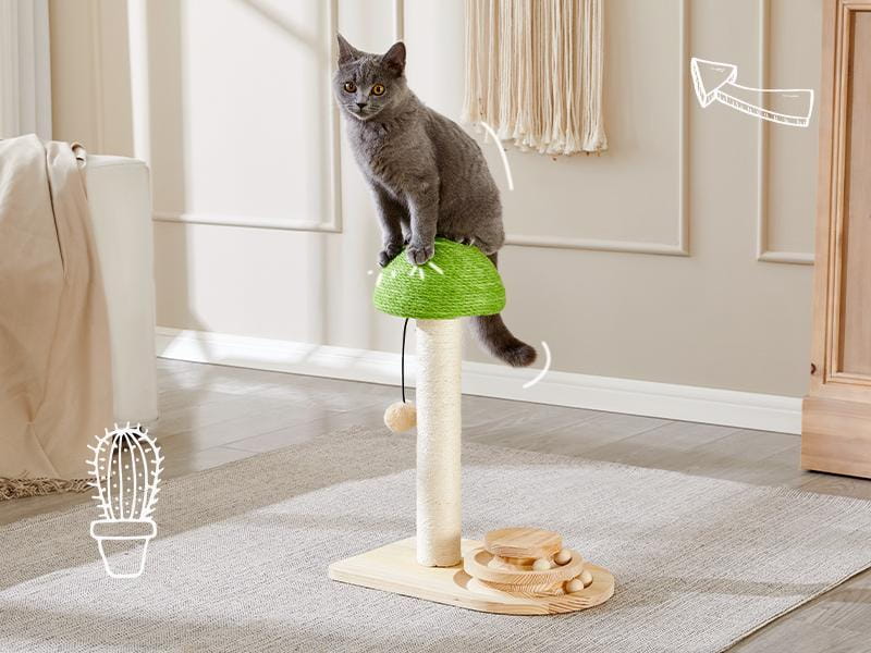 Mushroom cat scratching post with green mushroom-shaped top, beige base, wooden platform, and integrated ball track for cat entertainment.