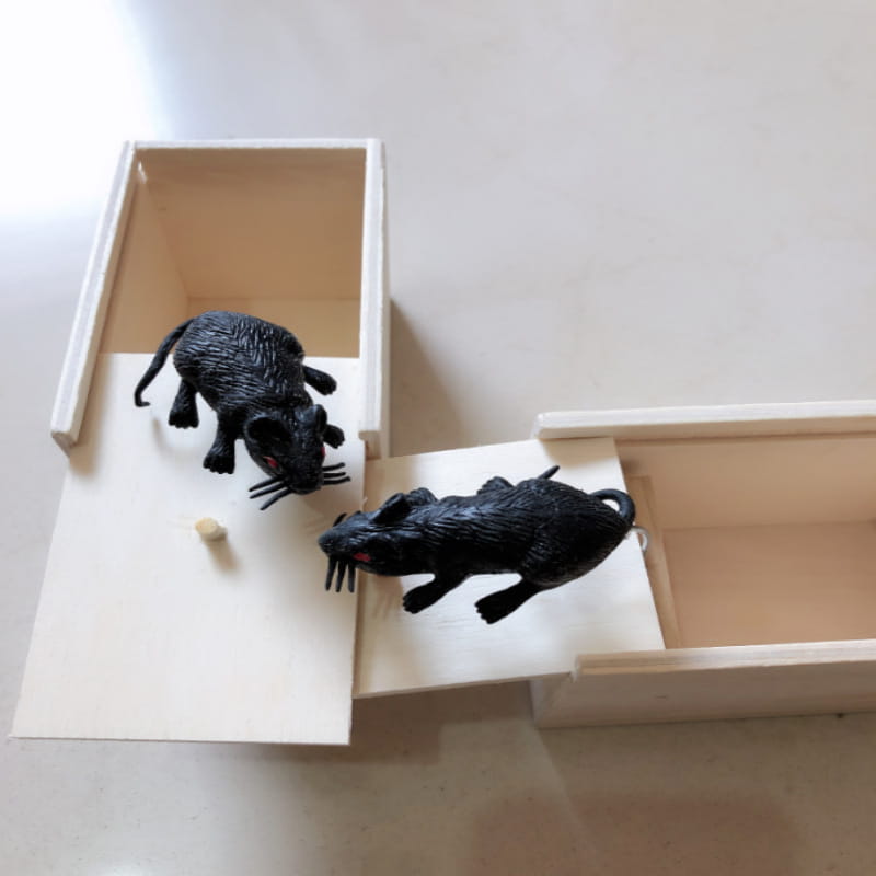 毛並みの質感があり赤い目をした黒いプラスチックのネズミのフィギュアが、蜘蛛のいたずらの見せかけ箱用の木製トリック・サプライズ玩具の中にある、明るい色の木製の箱の上に配置されている。