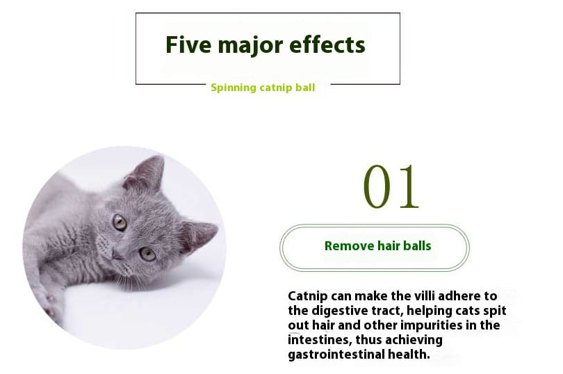 Catnip Silvervine 4 in 1 Rotating Wall Toy Ball