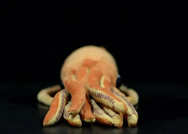 plush orange cuttlefish stuffed animal toy 32cm with textured striped tentacles made of soft fabric