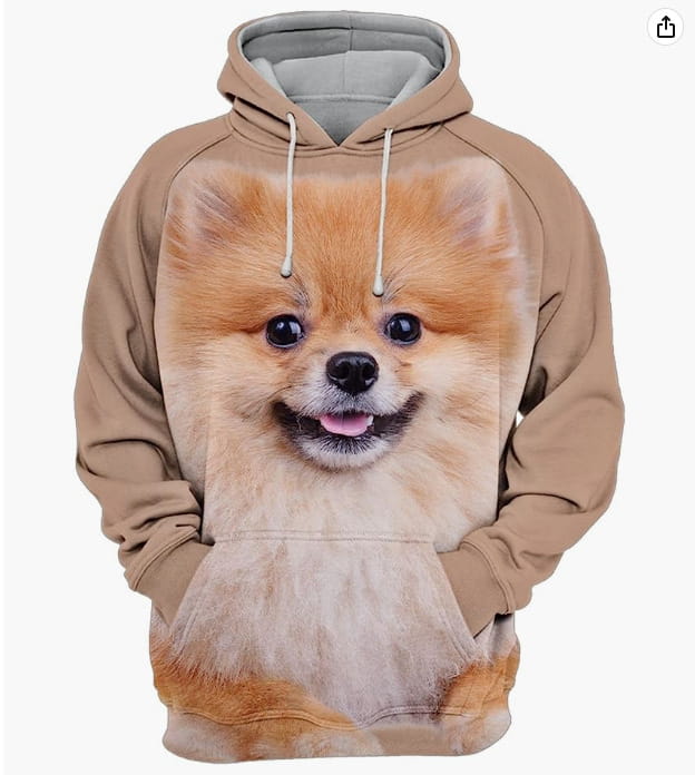 Un sweat à capuche beige pour homme en pull-over, avec une image détaillée en 3D imprimée sur l’avant, représentant un chien poméranien souriant, avec une fourrure duveteuse et des yeux foncés.