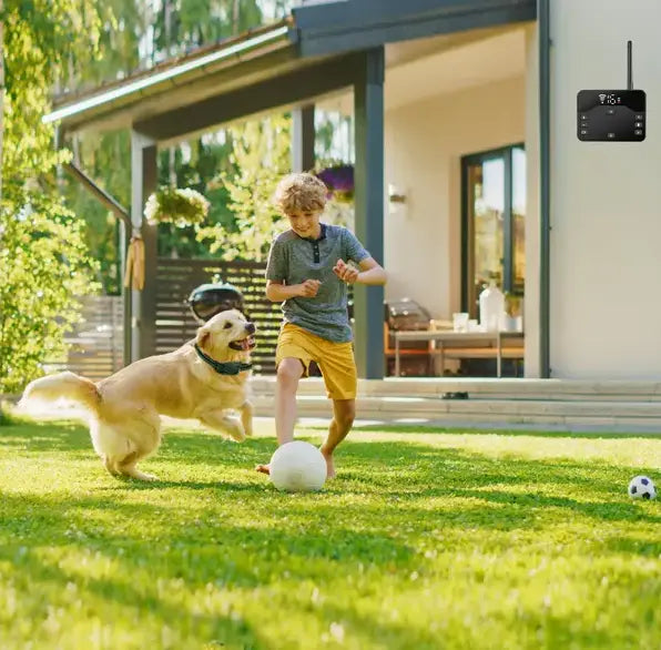 Système de clôture sans fil pour chien et collier de dressage noir avec indice IPX6 comprenant un affichage numérique et une antenne situés sur la face arrière du distributeur pour animaux.