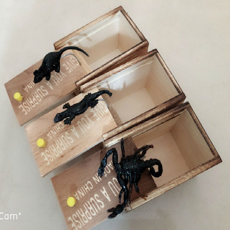 蜘蛛のいたずらの見せかけ箱用の木製トリック・サプライズ玩具として、ネズミ、トカゲ、サソリの黒いプラスチック製動物フィギュアを備えた3つの木製のサプライズ箱があり、「驚きを贈ります」と「中国製」の文字が刻印されている。