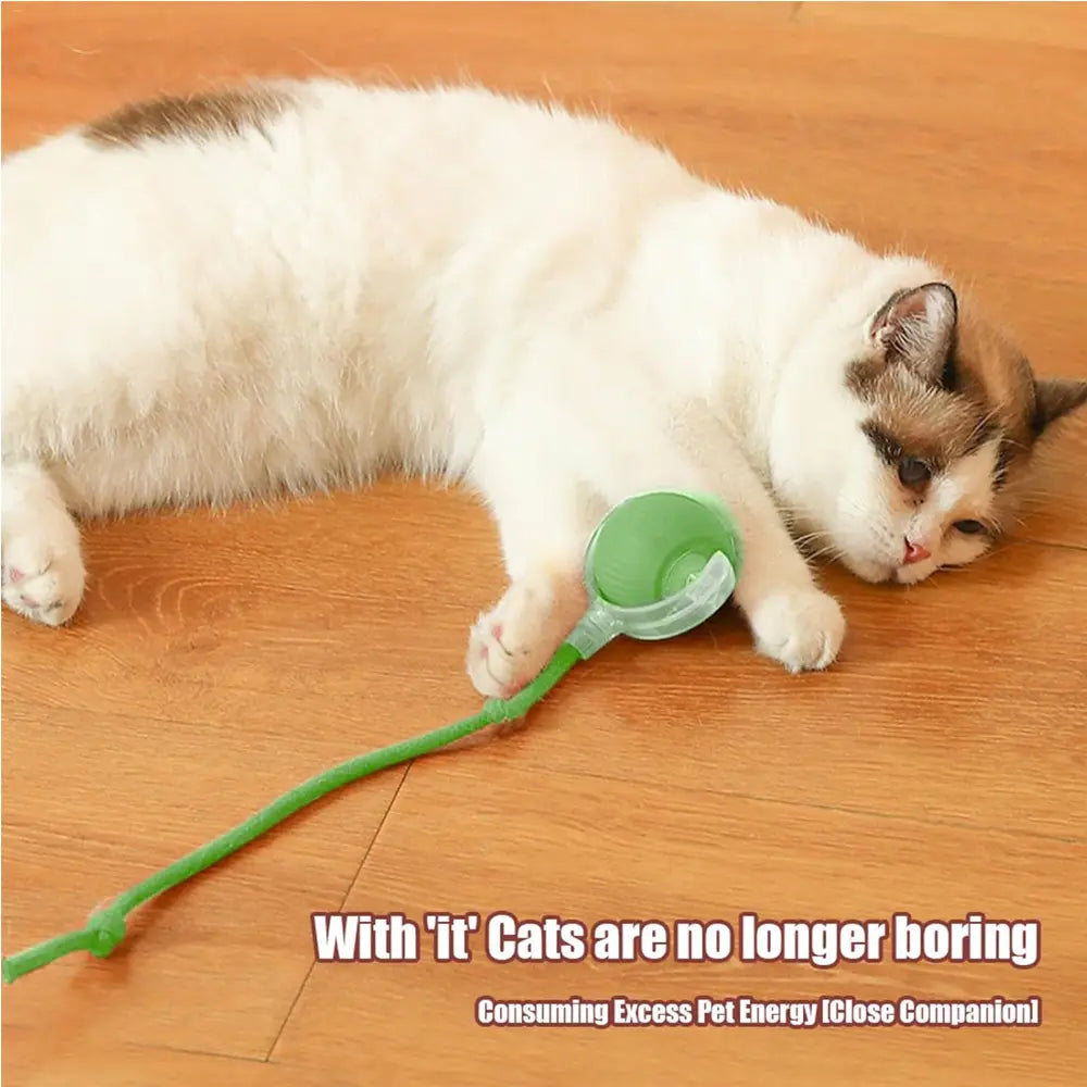Interactive Cat Ball Motion Activated Silicone Toy