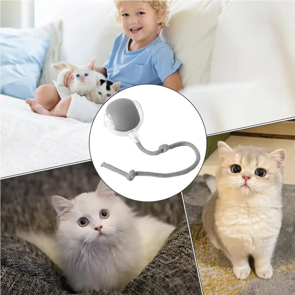 Interactive Cat Ball Motion Activated Silicone Toy