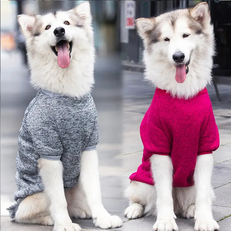 Deux malamutes d’Alaska portant des pulls chauds confortables en acrylique Big Dog en gris chiné et en fuchsia éclatant sont assis côte à côte sur une rue pavée.