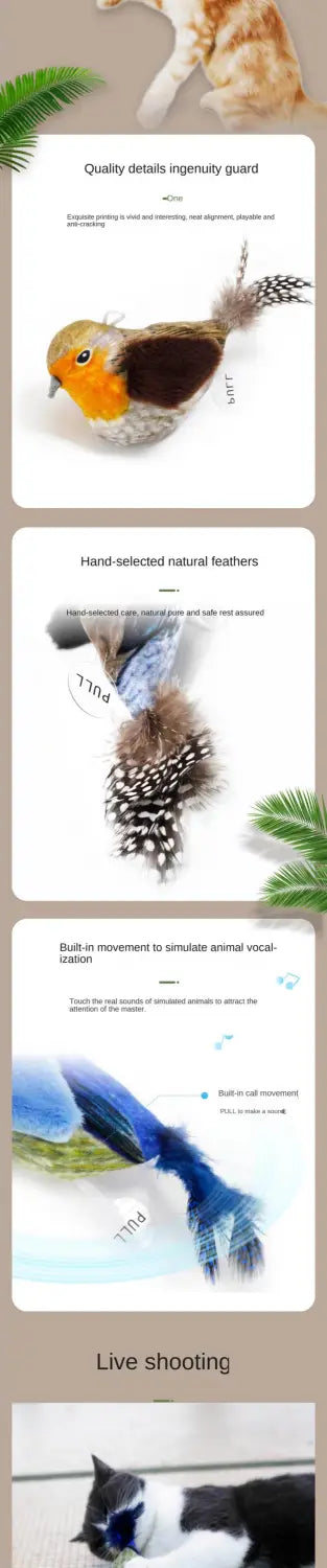 Interactive Bird Cat Teaser Toy with Feathers and Catnip