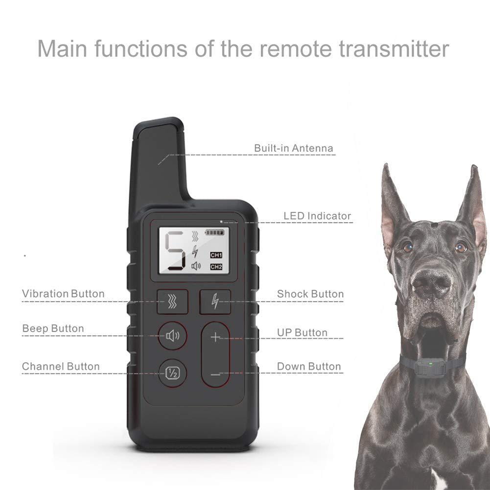 Collar de adiestramiento para perros impermeable IP67 recargable, herramienta para mascotas