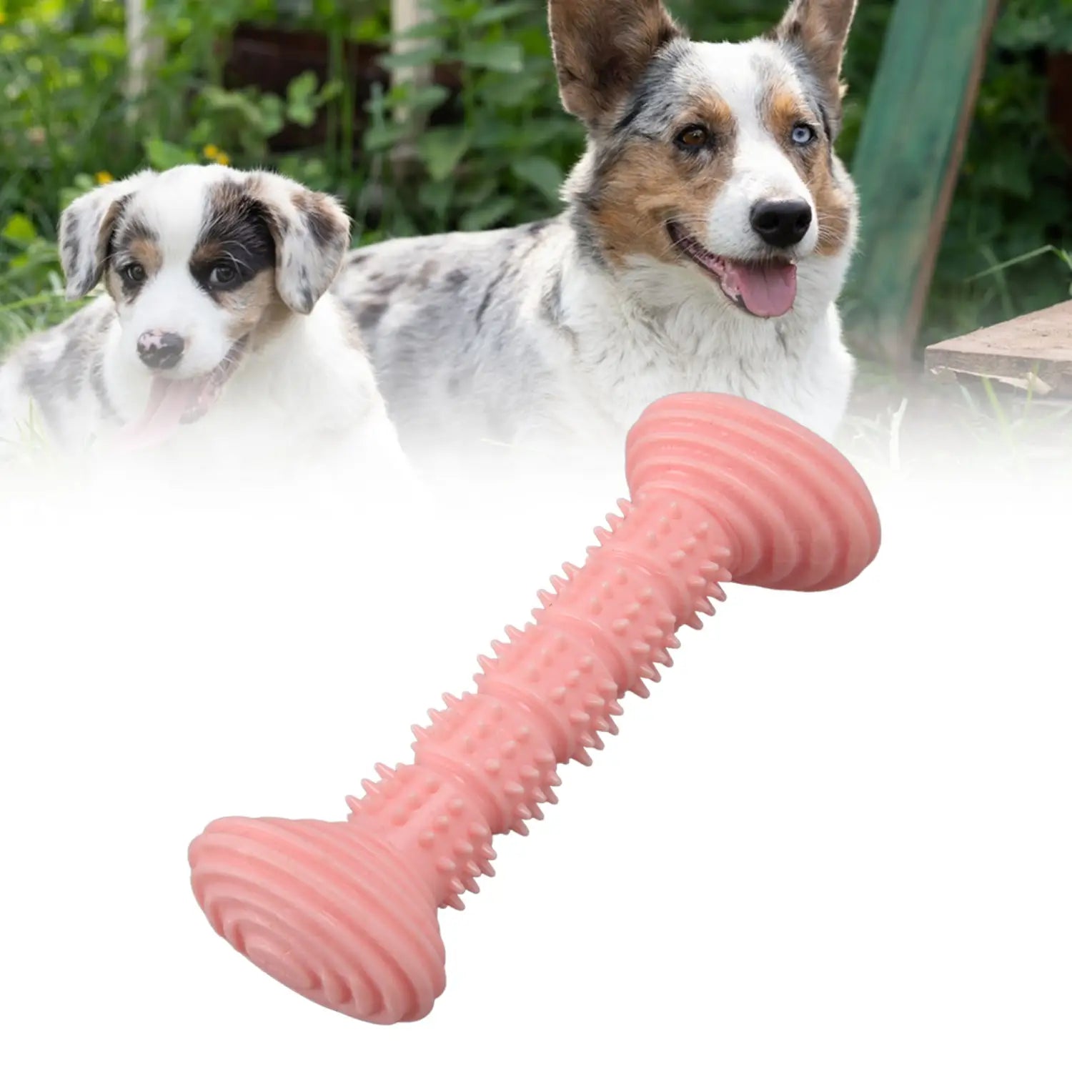 Dog Teething Bone Rubber Chew Toy for Small Dogs