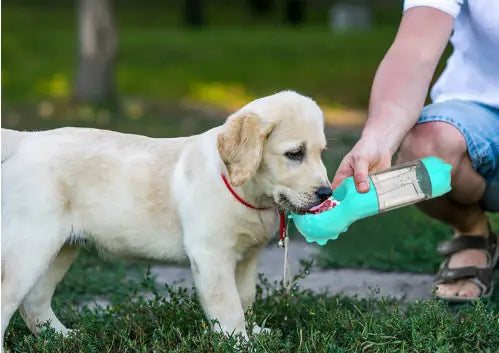 Bouteille d’eau multifonctionnelle pour chien et distributeur de sacs à crottes en turquoise, avec une section transparente et une prise en silicone souple.