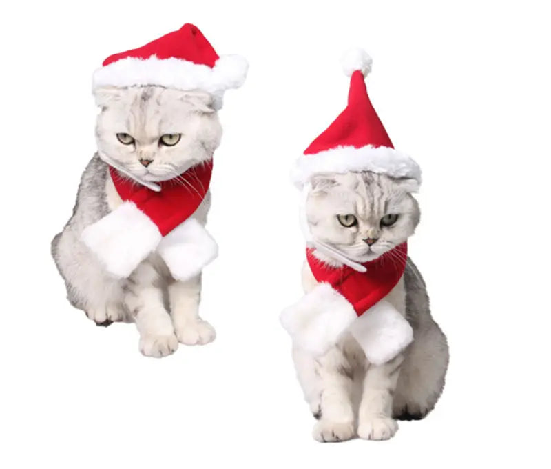 Deux chats tigrés argentés duveteux portant des bandeaux de Noël festifs avec des bois de renne pour animaux, rouges et blancs, ainsi que des écharpes assorties.
