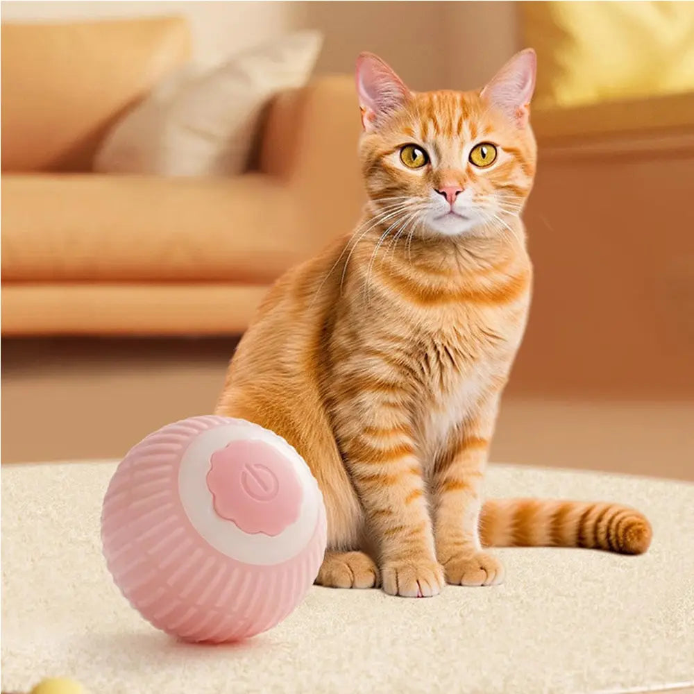 Interactive Rolling Cat Ball Electric Motion Toy Silicone