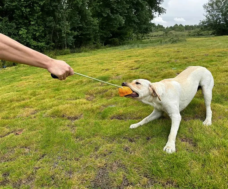 Dog Rope Fetch Toy for Aggressive Chewers Pumpkin Shape