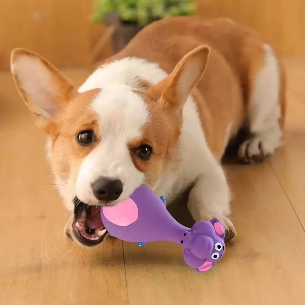 Jouets en latex pour chien à couinement, lot de 4, mâche-dentition durable pour chiot