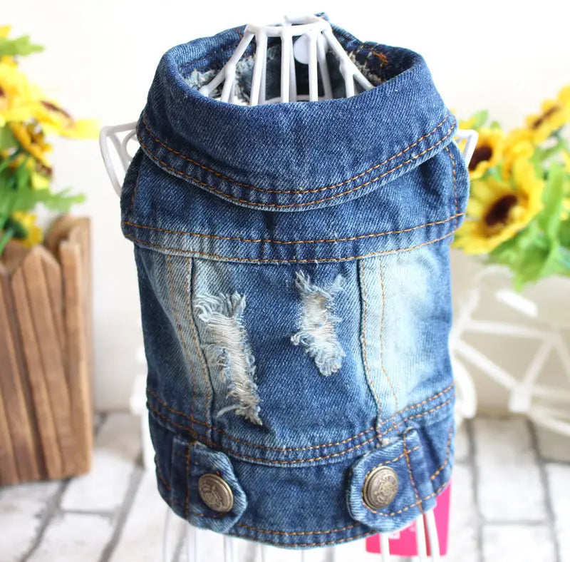 Blue denim dog coat with distressed patches and brown stitching from the denim dog jacket strawberry embroidery puppy vest collection.