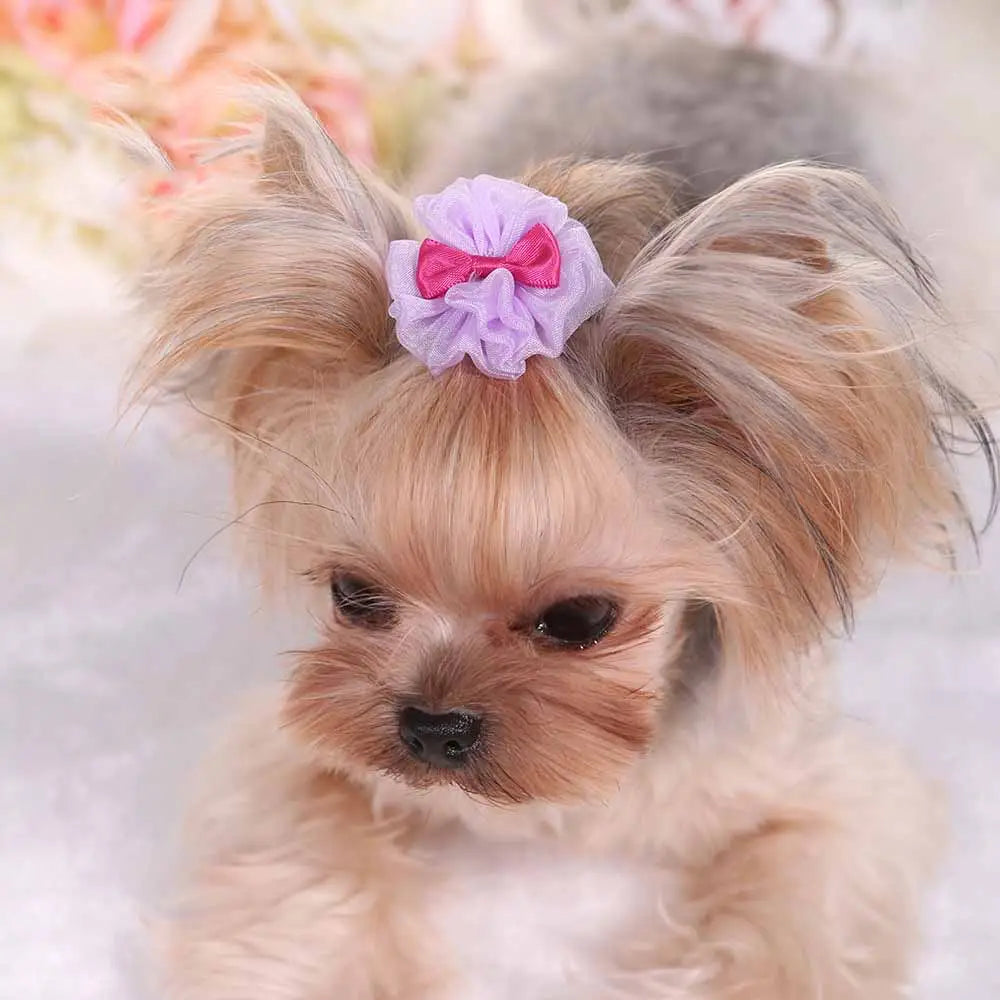 A delicate lavender and pink organza bubble hairpin bow adorned with a satin ribbon accent designed as a pastel pet accessory for petite dogs.