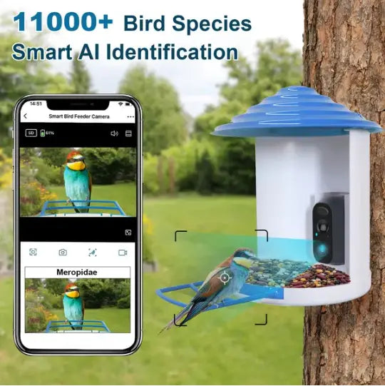 Comedero inteligente para pájaros con cámara WiFi solar con IA 1080p, IP65