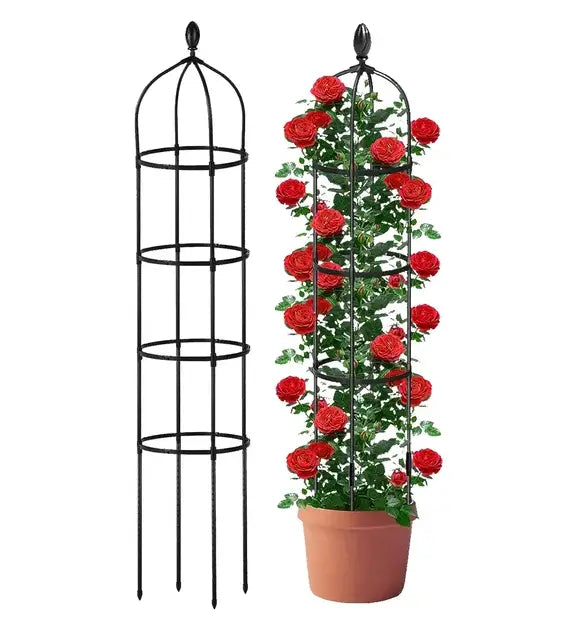 Black wrought iron garden obelisk trellis 2 pack featuring decorative top and tiered rings shown alongside a potted rose bush in terracotta pot.
