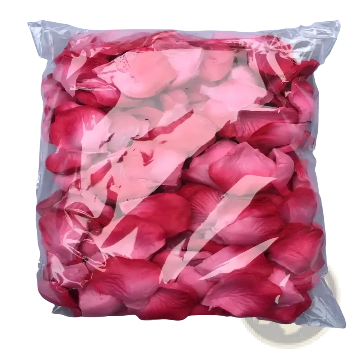 A clear plastic bag filled with vibrant pink rose petals for 5500 colorful rose petals wedding decor