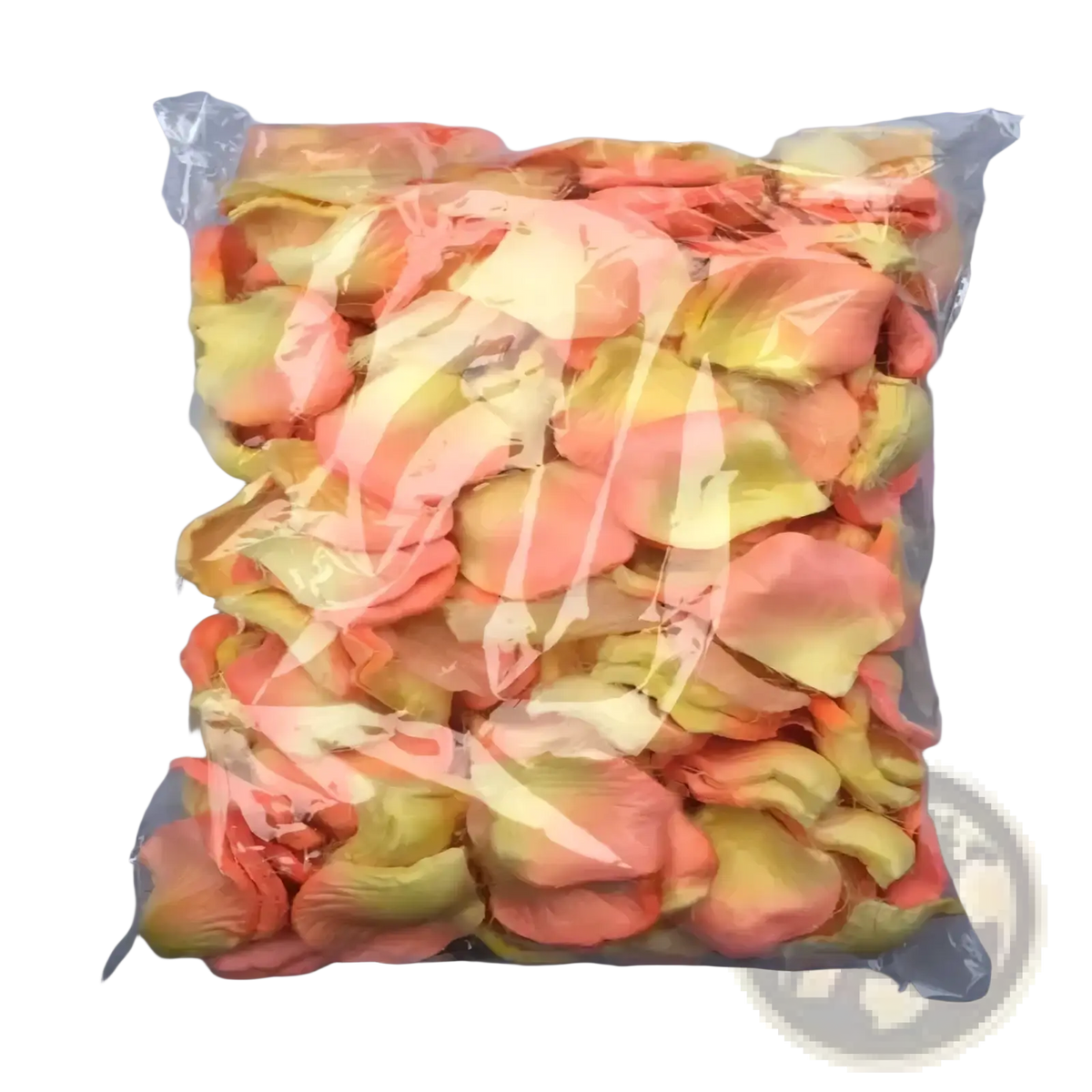 A clear plastic bag containing 5500 colorful artificial peach and yellow gradient rose petals for wedding decor